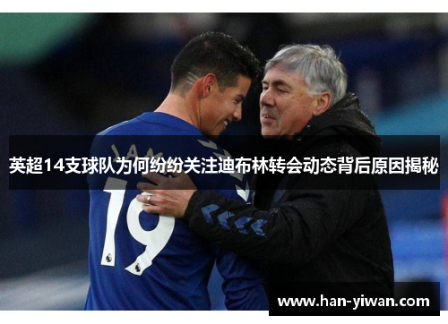 英超14支球队为何纷纷关注迪布林转会动态背后原因揭秘