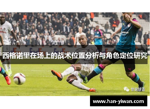 西格诺里在场上的战术位置分析与角色定位研究