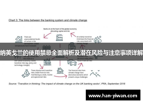 纳英戈兰的使用禁忌全面解析及潜在风险与注意事项详解